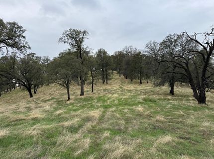 Vaira Ranch, Drytown, CA 95699 Photo