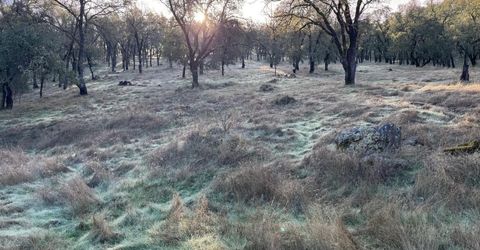 Vaira Ranch, Drytown, CA 95699 Photo