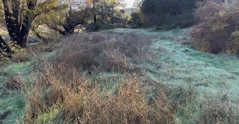 Vaira Ranch, Drytown, CA 95699 Photo