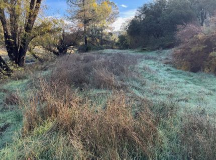 Vaira Ranch, Drytown, CA 95699 Photo