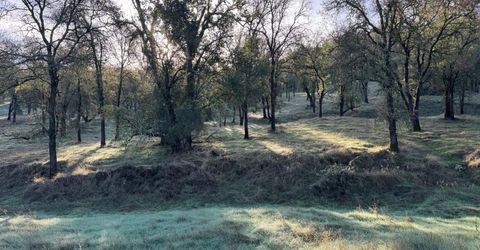Vaira Ranch, Drytown, CA 95699 Photo