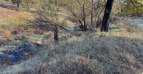 Vaira Ranch, Drytown, CA 95699 Photo