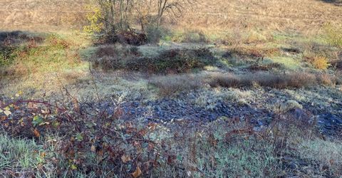 Vaira Ranch, Drytown, CA 95699 Photo