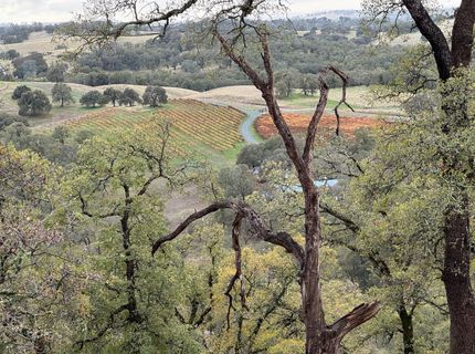 Vaira Ranch, Drytown, CA 95699 Photo
