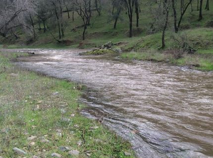 Vaira Ranch, Drytown, CA 95699 Photo