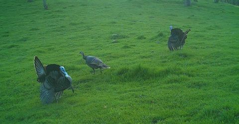 Vaira Ranch, Drytown, CA 95699 Photo