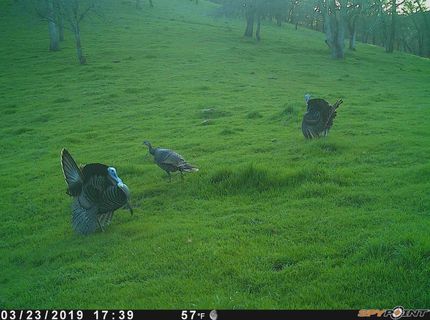 Vaira Ranch, Drytown, CA 95699 Photo