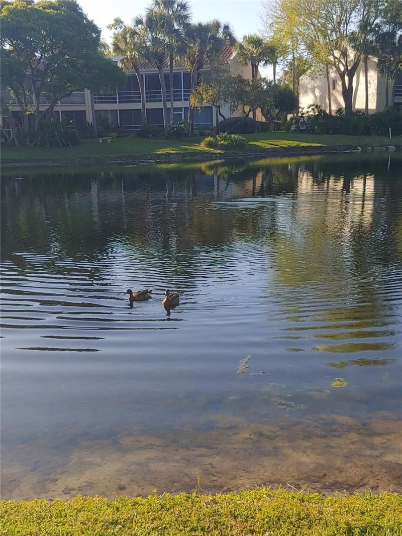 6101 34th Street W, Unit 31H, Bradenton, FL 34210 Photo