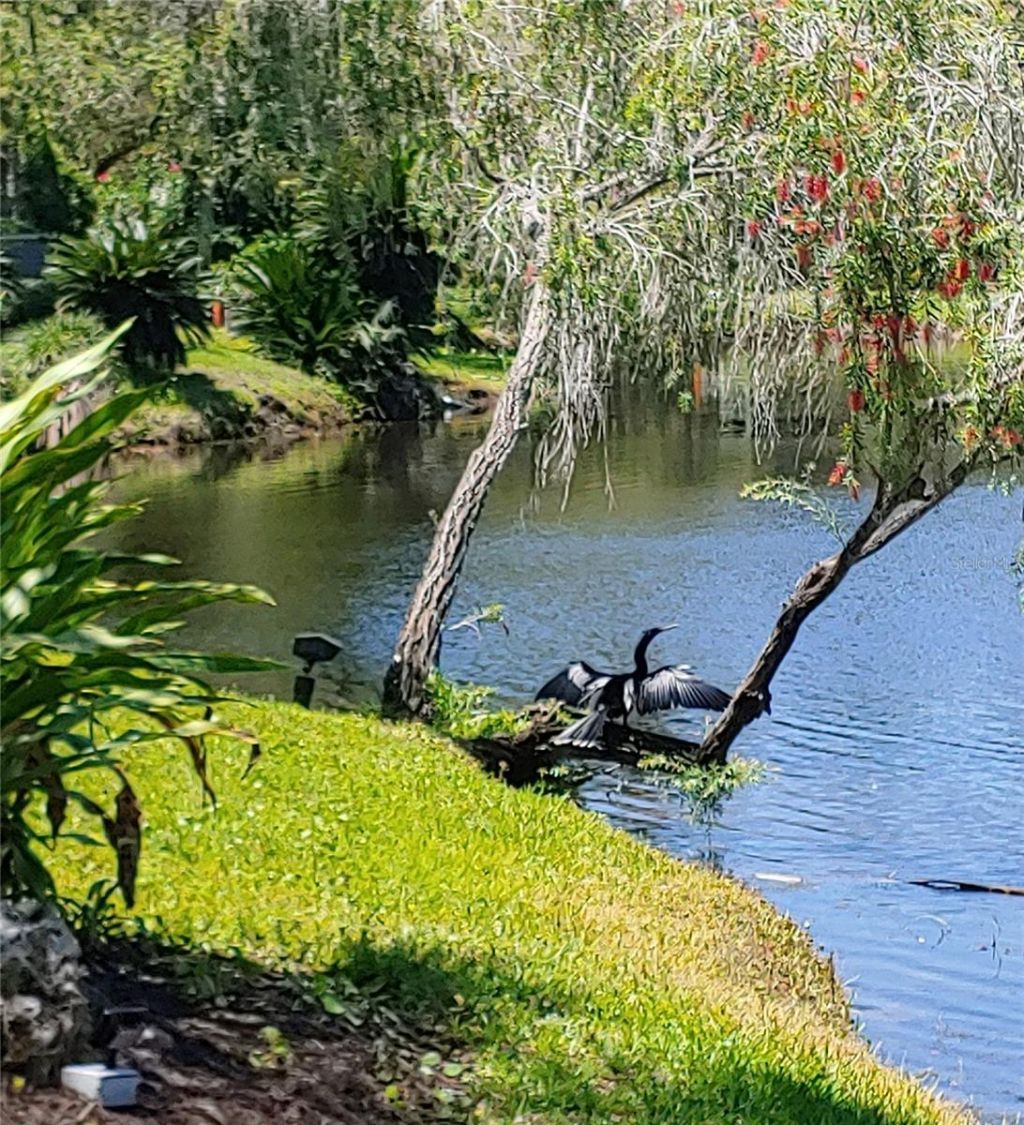 6101 34th Street W, Unit 31H, Bradenton, FL 34210 Photo