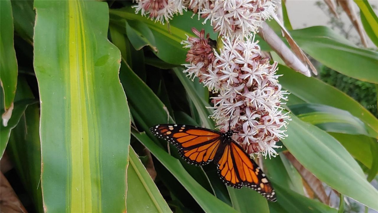 6101 34th Street W, Unit 31H, Bradenton, FL 34210 Photo