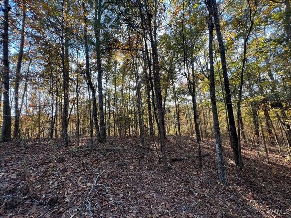 Lot 6 Allison Drive, McCalla, AL 35111