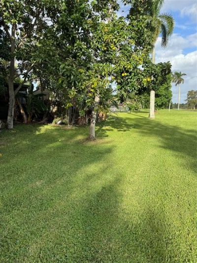 936 W Tropical Way, Plantation, FL 33317 Photo