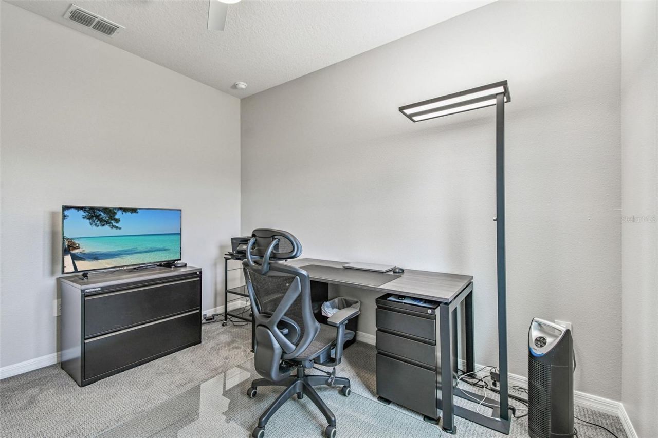 17710 Pastureland Avenue, Lakewood Ranch, FL 34211 Photo