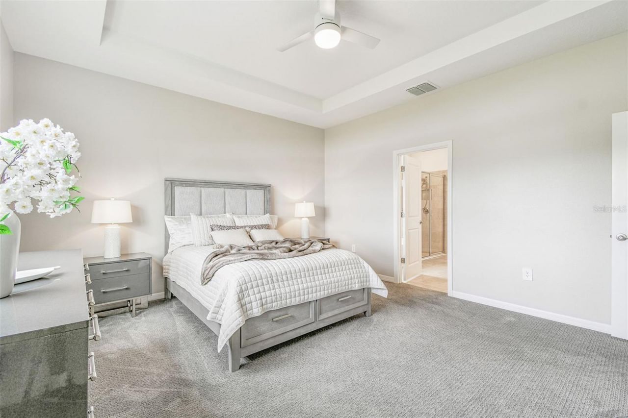 17710 Pastureland Avenue, Lakewood Ranch, FL 34211 Photo