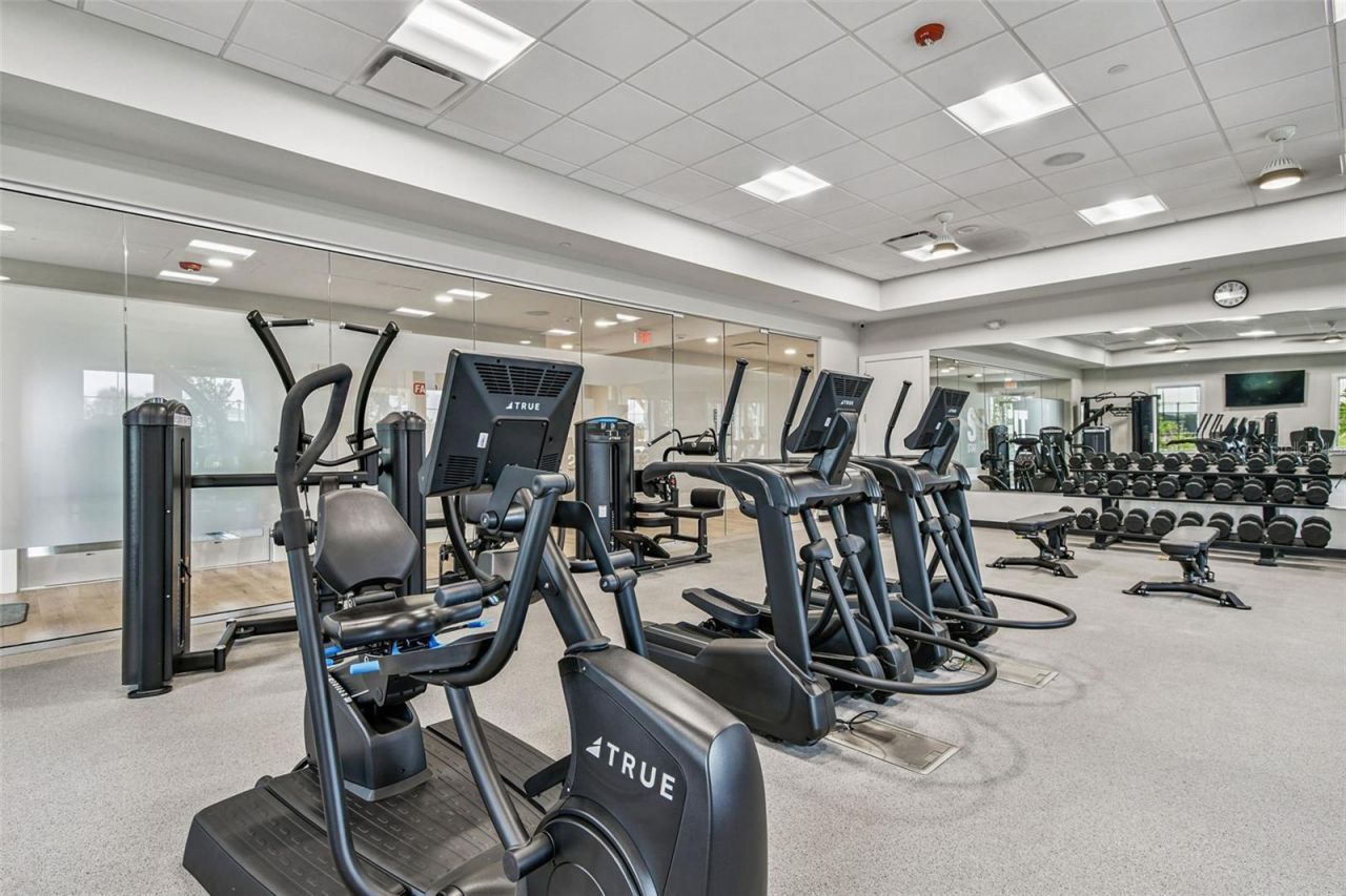 17710 Pastureland Avenue, Lakewood Ranch, FL 34211 Photo