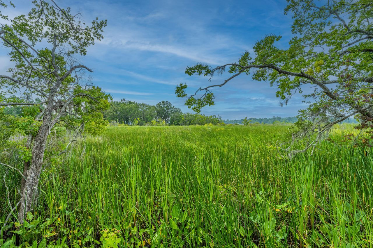7402 Bowen Corner Avenue Photo 32