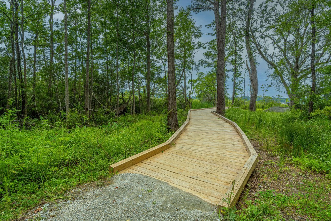 7402 Bowen Corner Avenue Photo 36