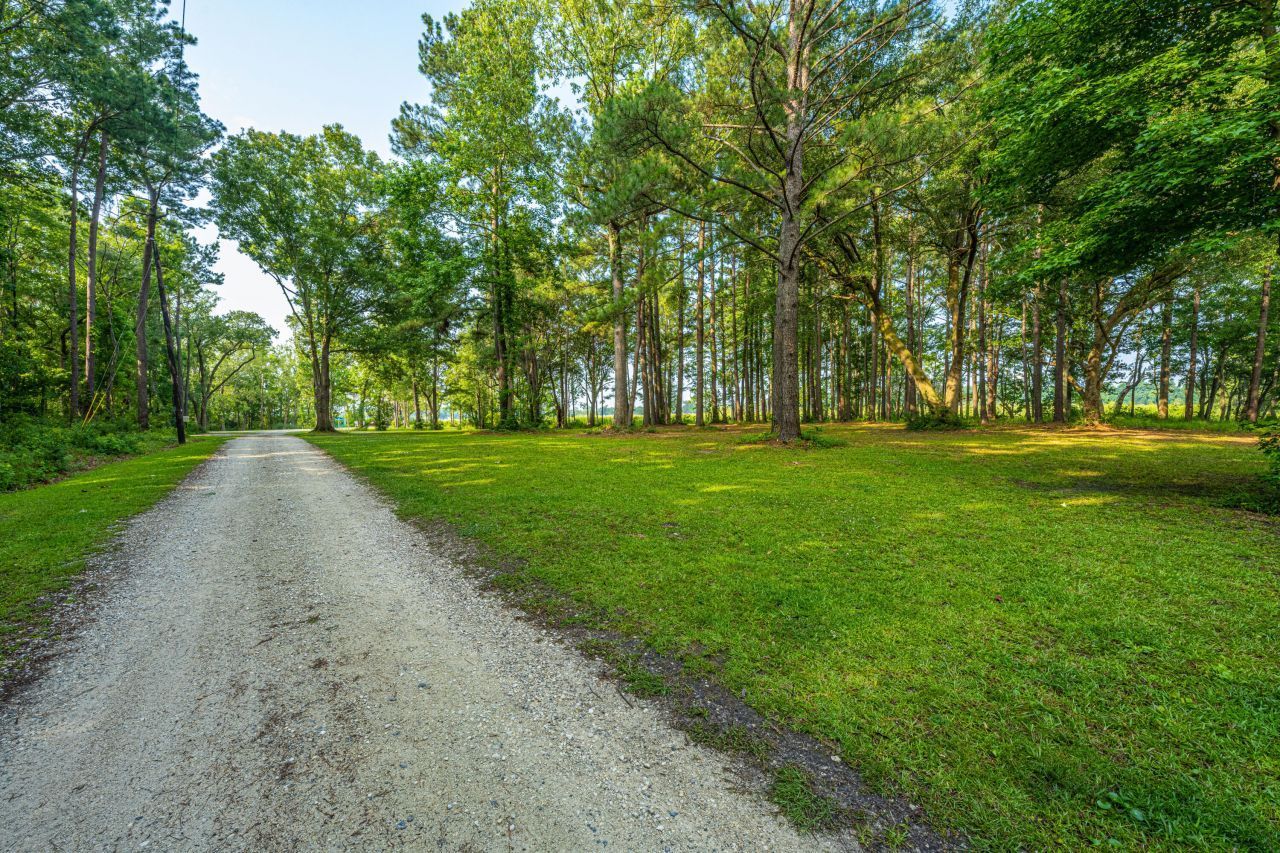 7402 Bowen Corner Avenue Photo 39