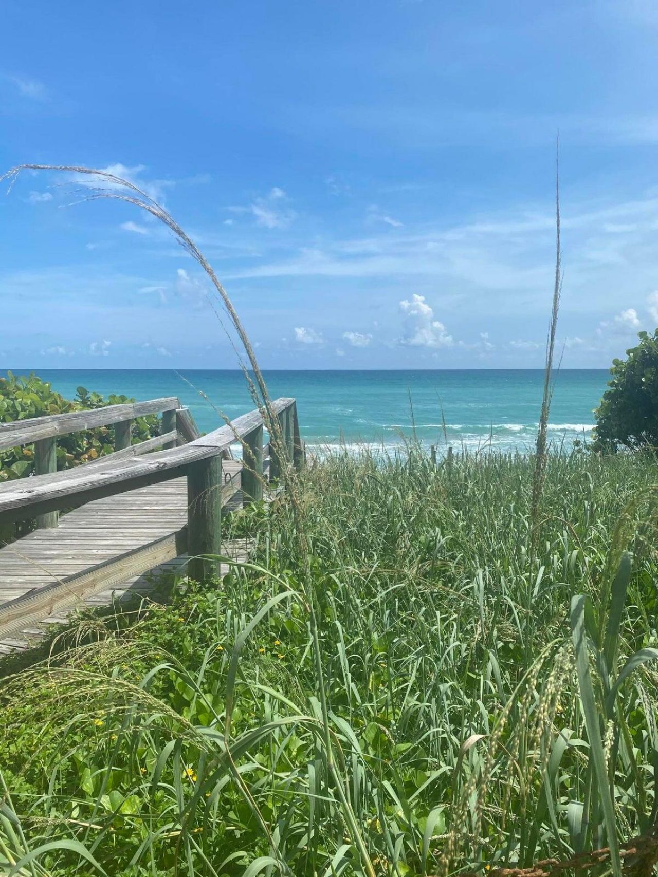 1605 S Us Highway 1, Unit 401m3, Jupiter, FL 33477 Photo