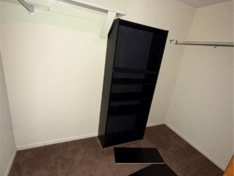 907 SHADY Lane, Howland, OH 44484 Photo 20