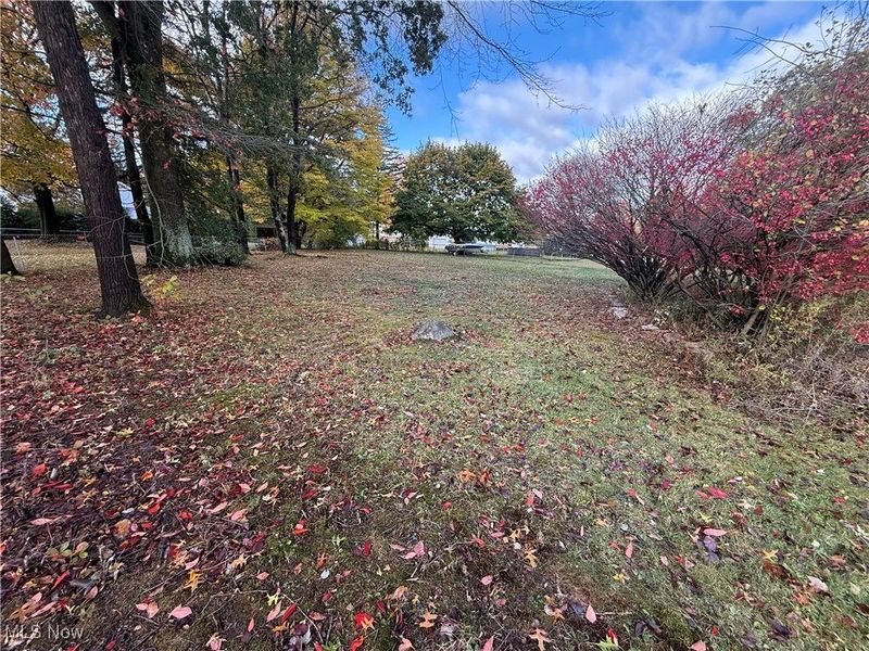 907 SHADY Lane, Howland, OH 44484 Photo 4