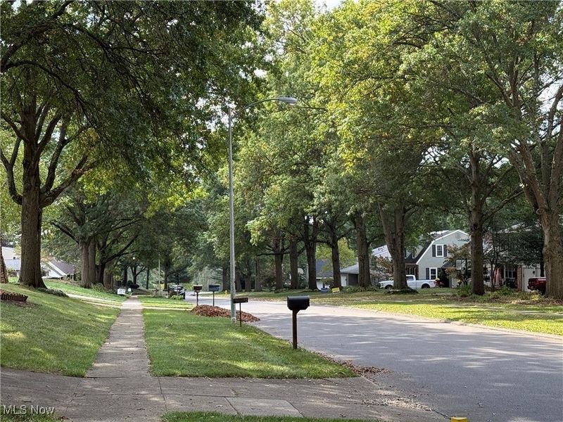 1587 Saunders Drive, Wooster, OH 44691 Photo 43