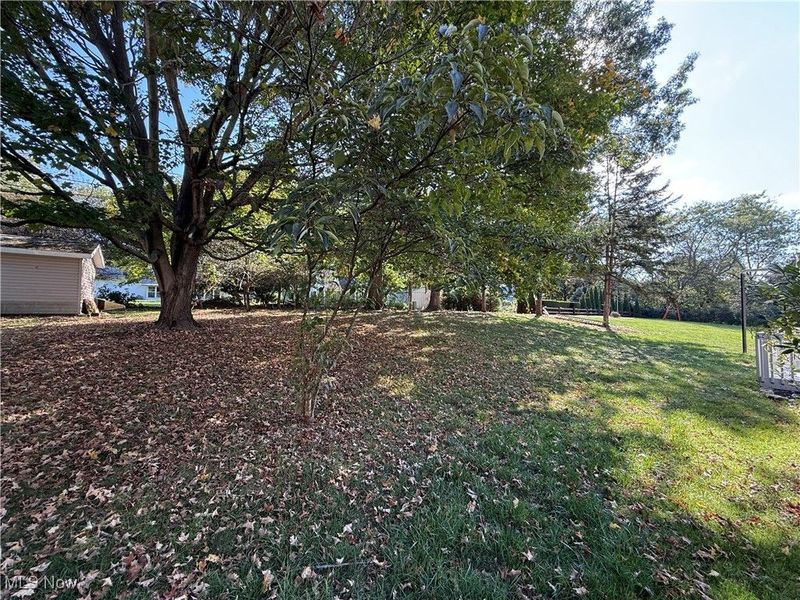 1587 Saunders Drive, Wooster, OH 44691 Photo 8