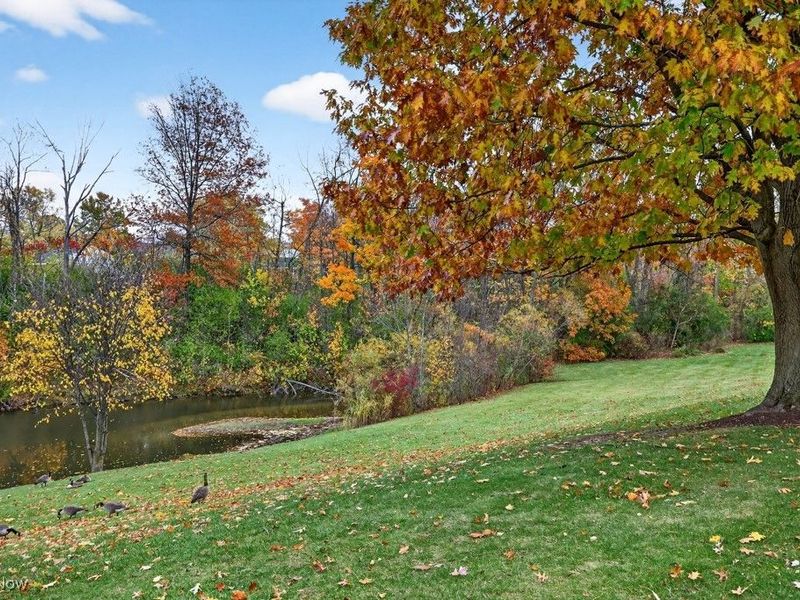 7093 Village Drive, Concord, OH 44060 Photo 23