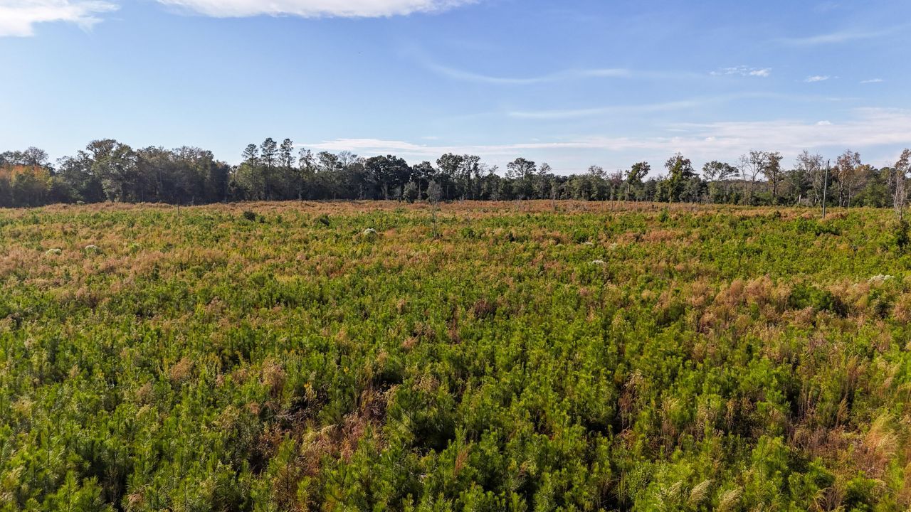 0 Spanish Drive Photo 3