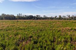 0 Spanish Drive photo 4