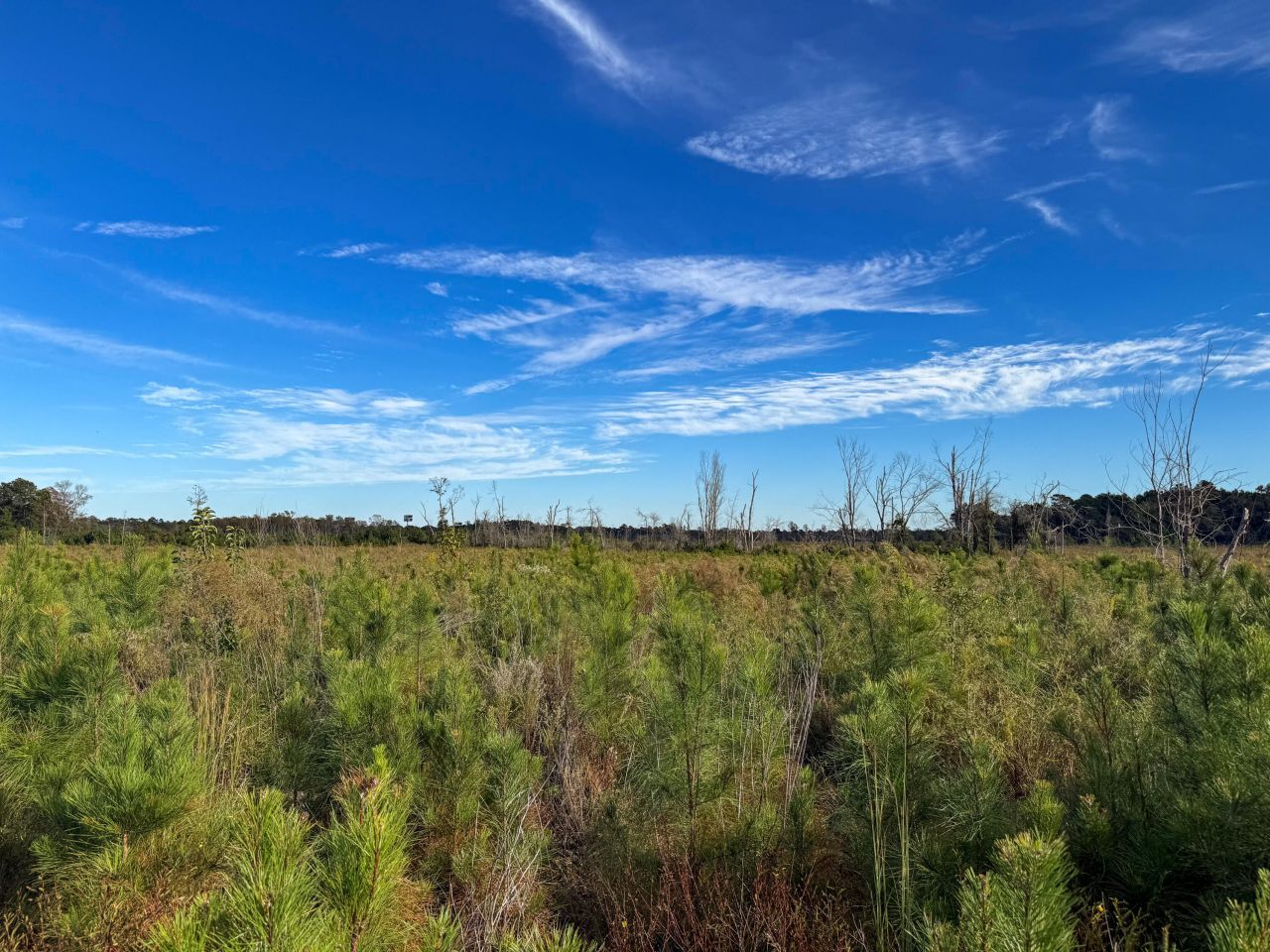 0 Spanish Drive Photo 4