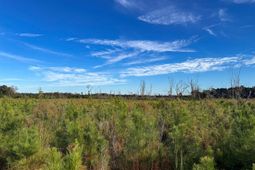 0 Spanish Drive photo 4