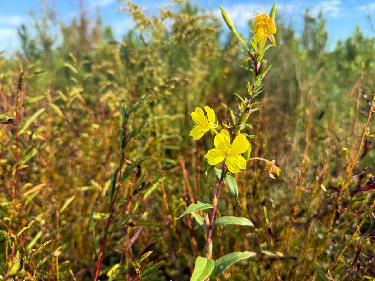 0 Spanish Drive Photo 6