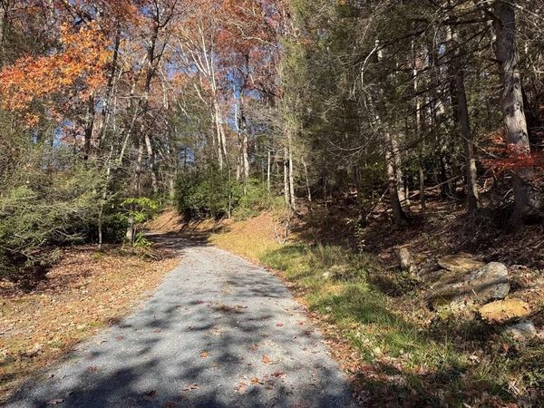 58 MARTIN LANE, NALLEN, WV 26880