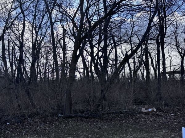 1859 Erin Lane, Morris, IL 60450