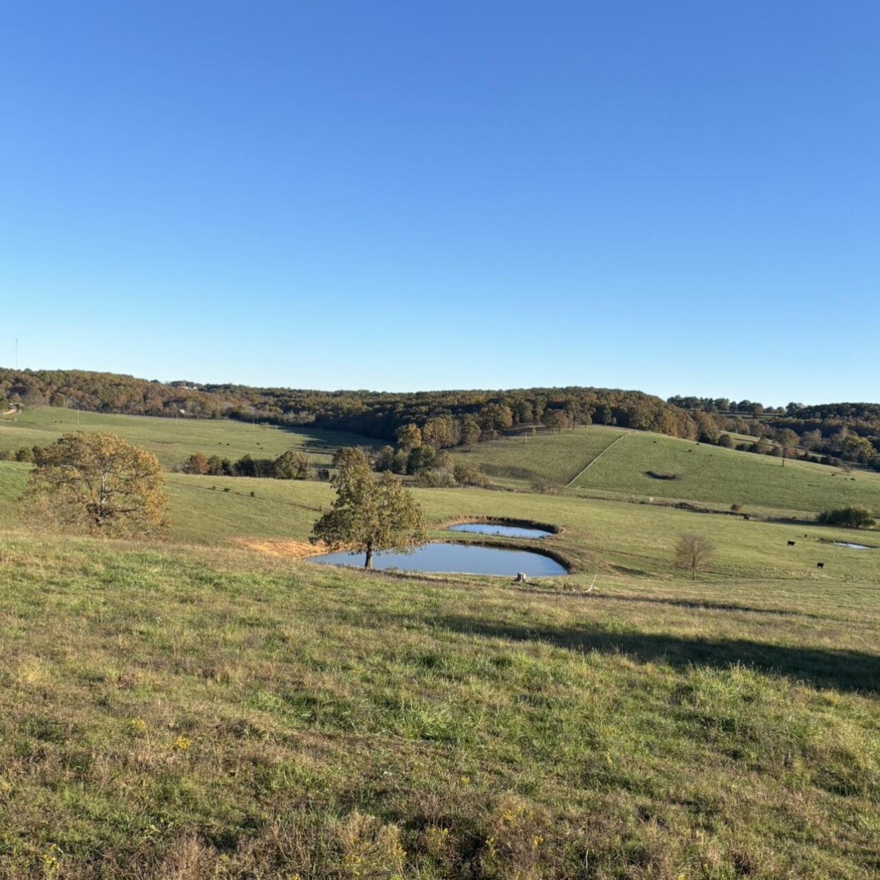 Hc 73 County Road 245, Drury, MO 65638 Main Photo