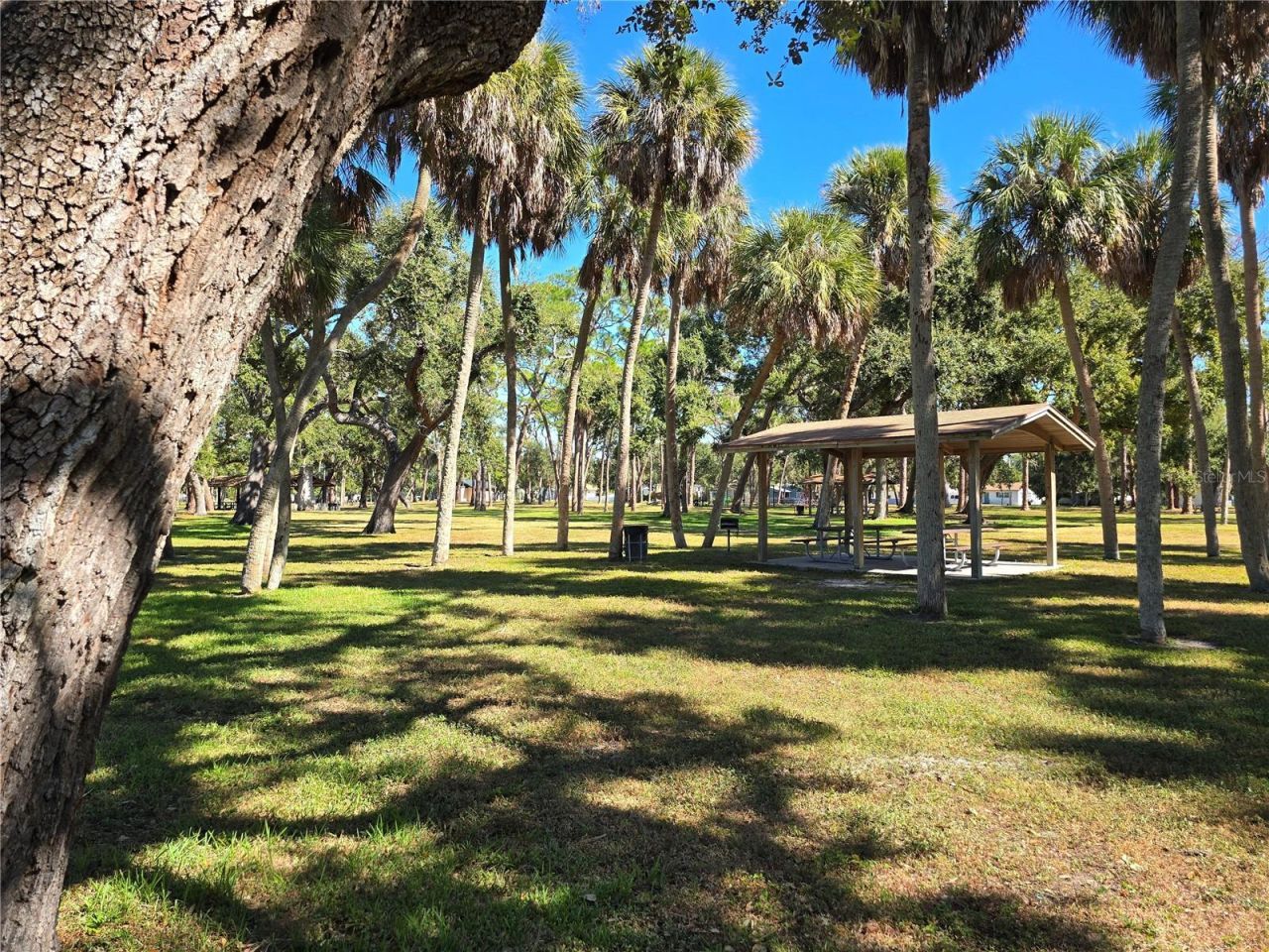 701 42nd Avenue S, Saint Petersburg, FL 33705 Photo