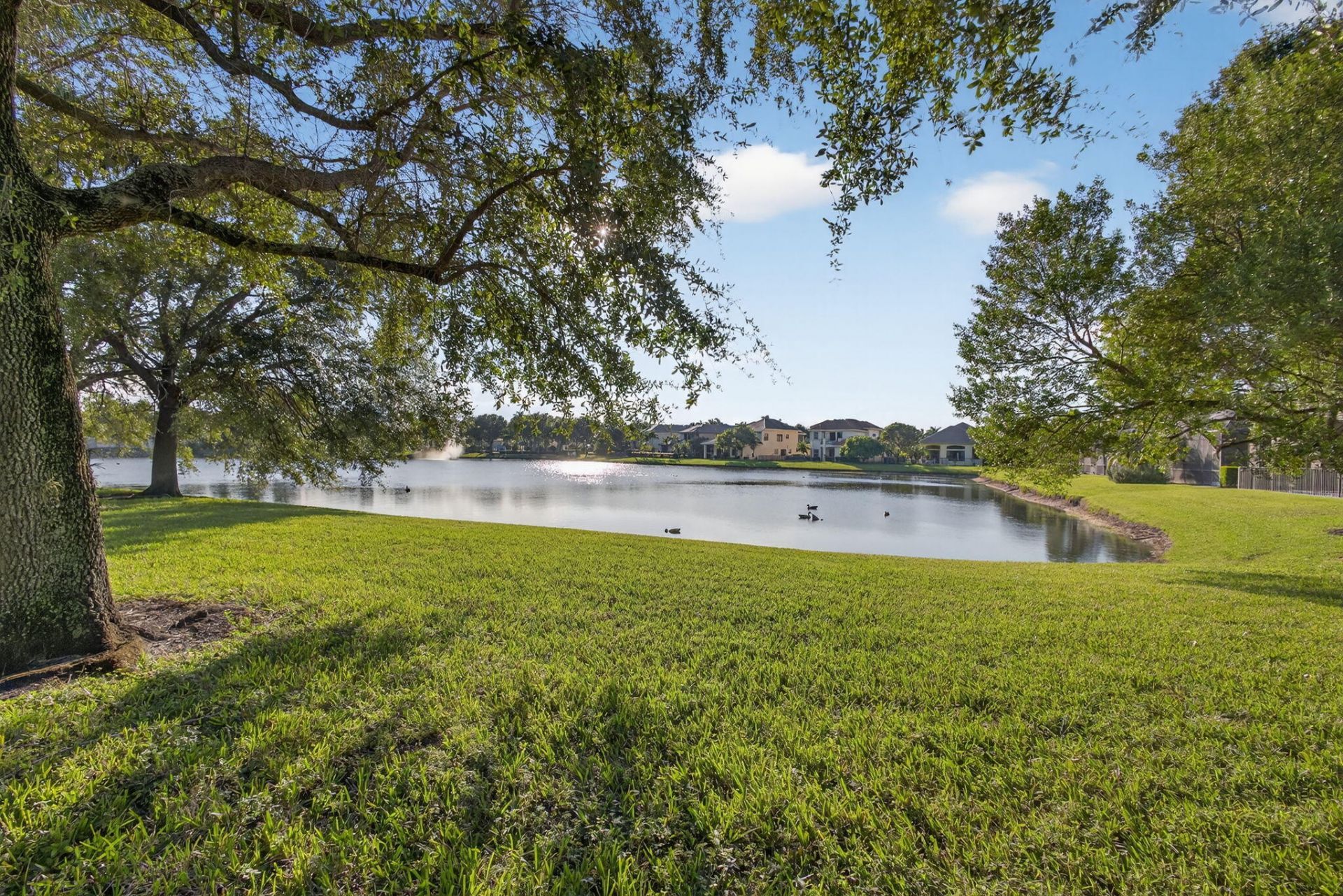 3563 Birague Drive, Wellington, FL 33449 Photo