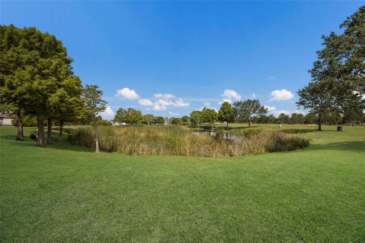 389 Gowdy Road, Sarasota, FL 34237 Photo