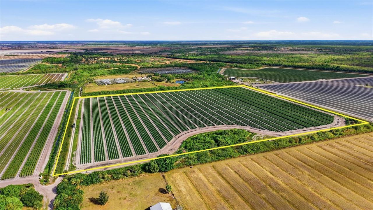 6150 Pringle Lane, Immokalee, FL 34142 Photo