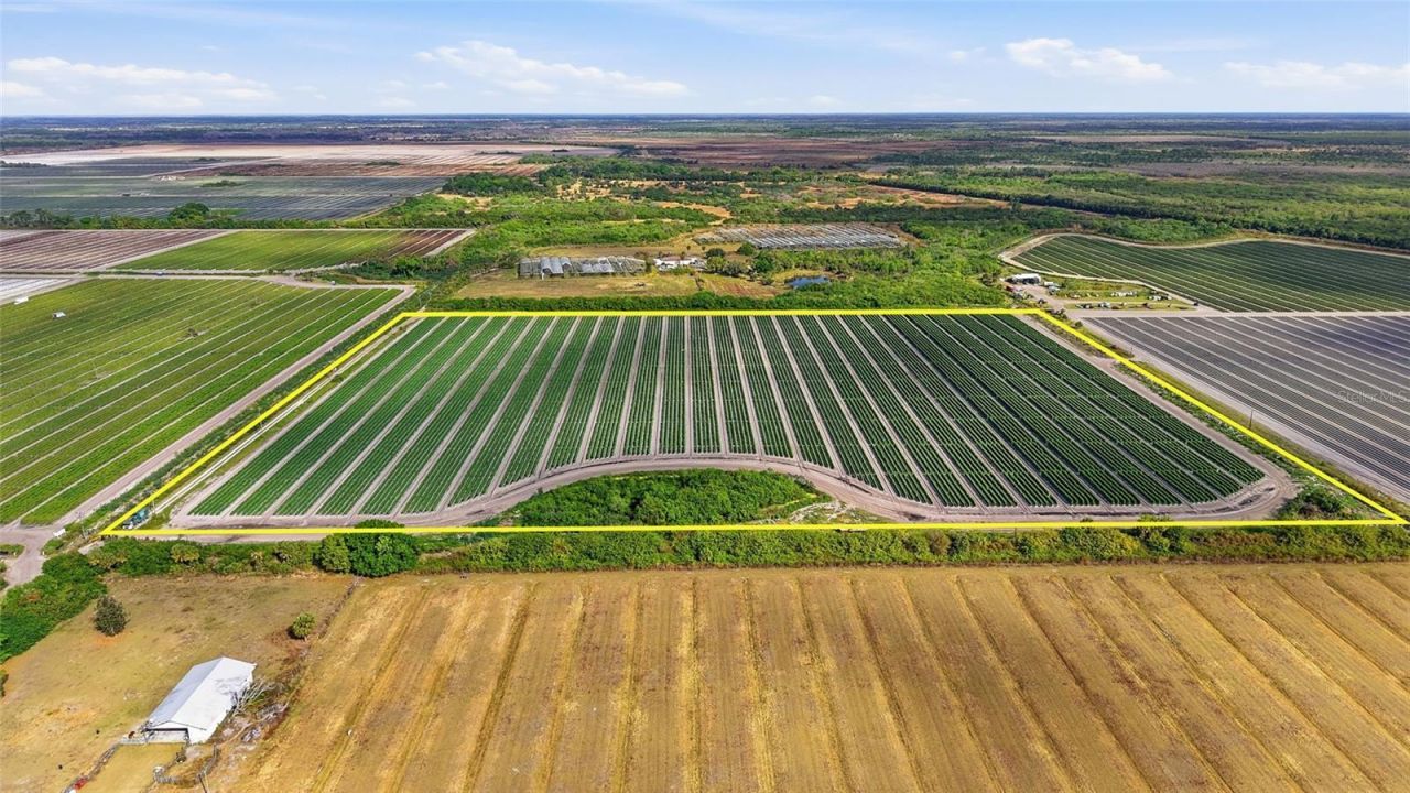 6150 Pringle Lane, Immokalee, FL 34142 Photo