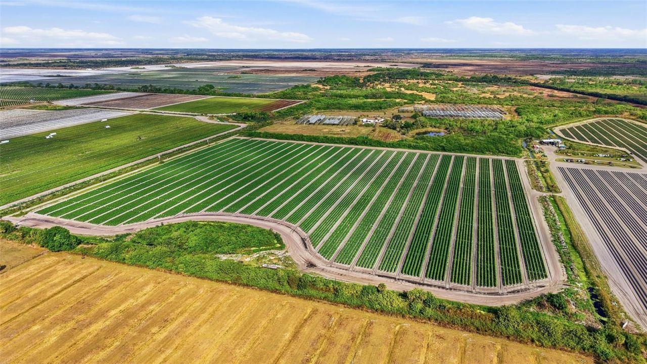 6150 Pringle Lane, Immokalee, FL 34142 Photo