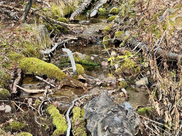 Ryland Road, San Luis, CO 81152