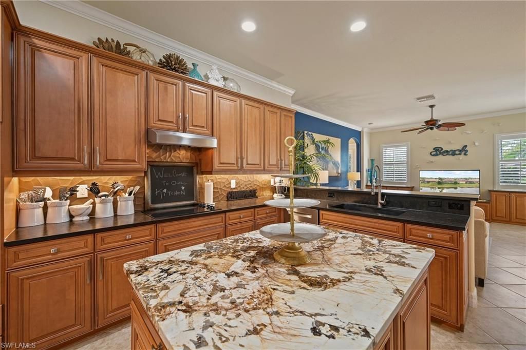 20970 Torre Del Lago St, Estero, FL 33928 Photo