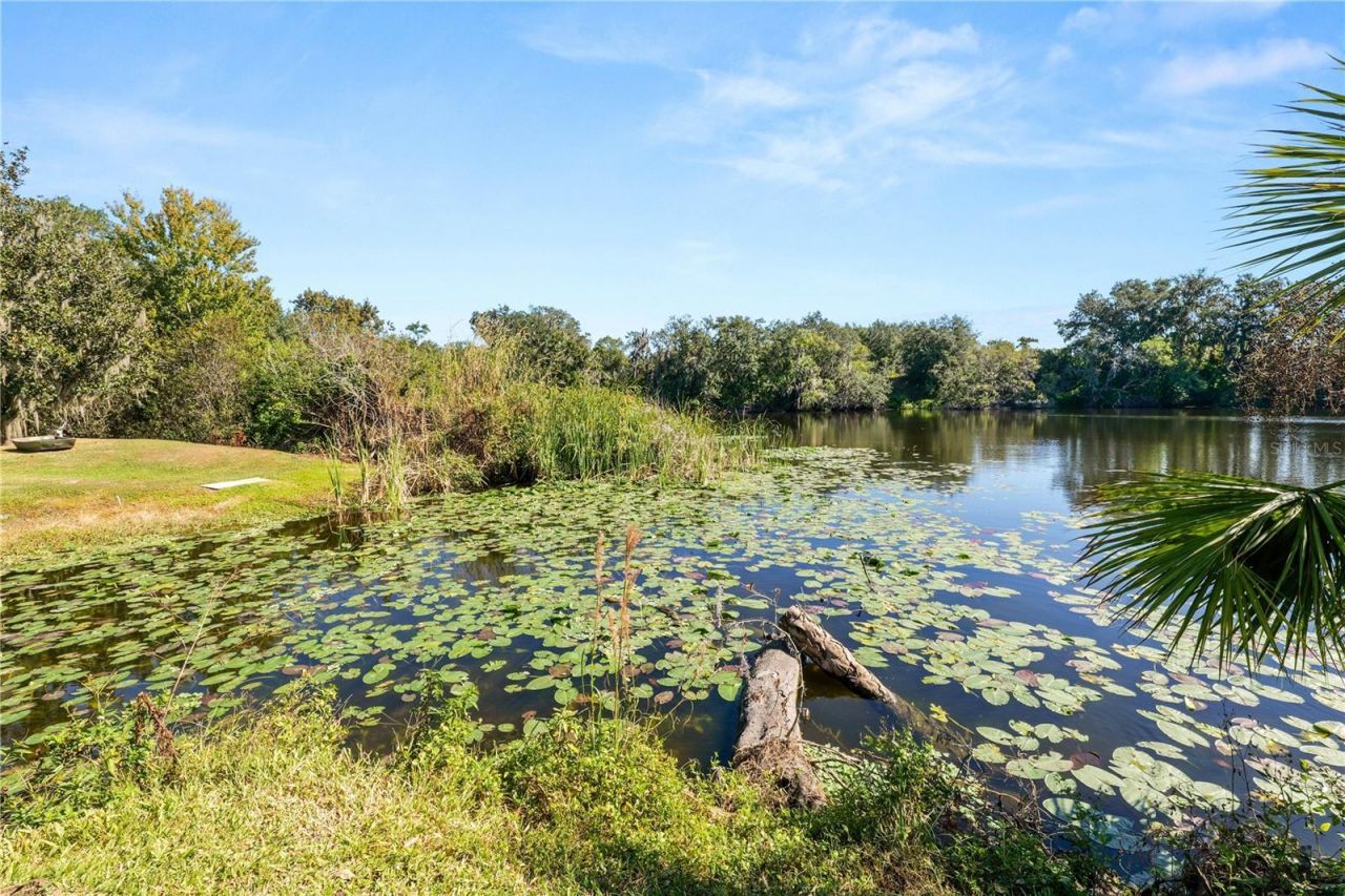 109 NE 4th Avenue, Mulberry, FL 33860 Photo