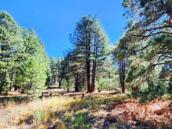 1958 FERRET Circle, Unit 260, Forest Lakes, AZ 85931