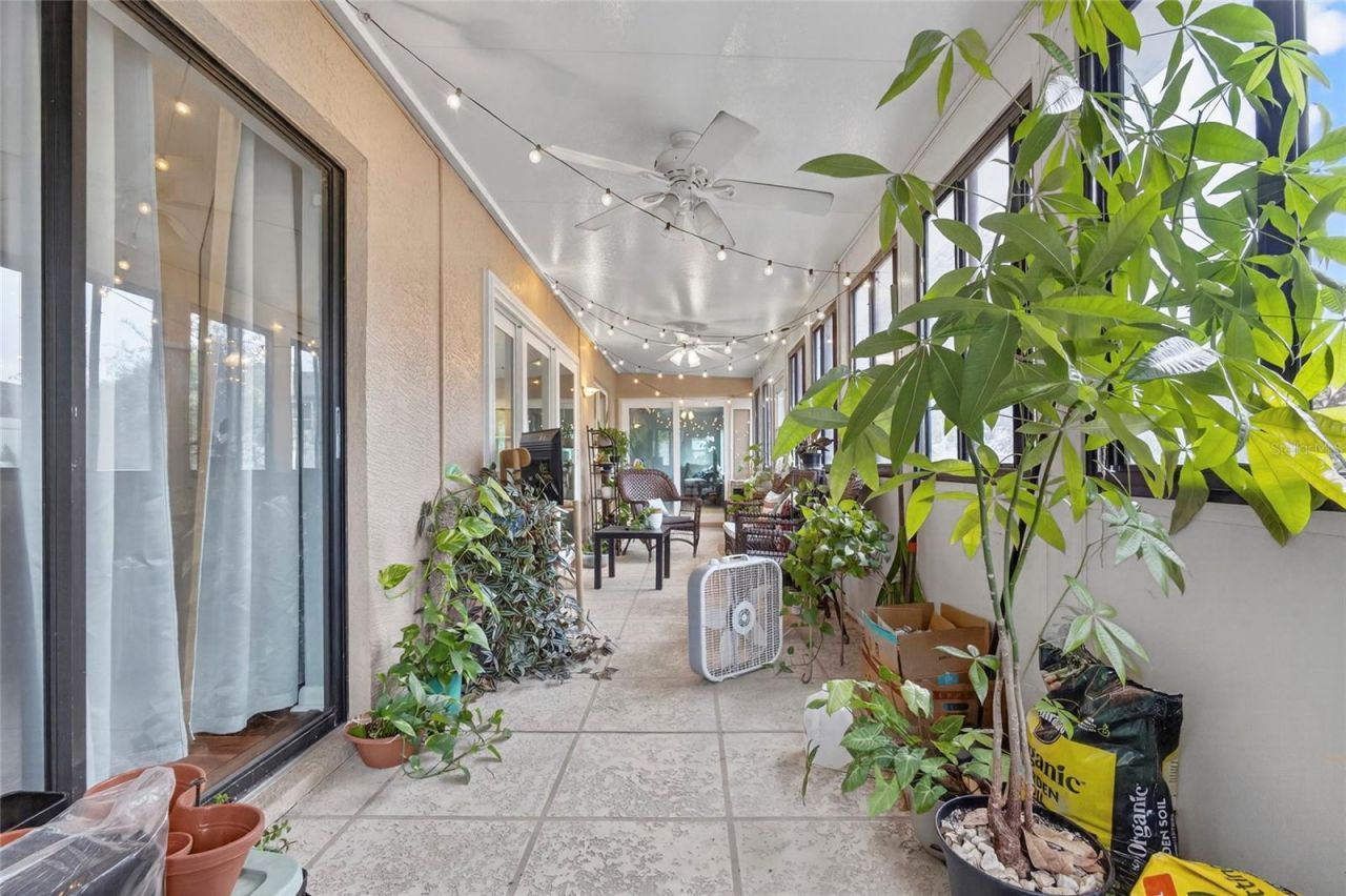 6317 E 113th Avenue, Temple Terrace, FL 33617 Photo