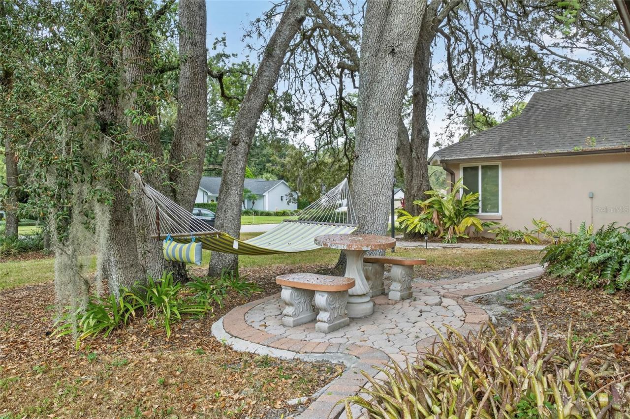 6317 E 113th Avenue, Temple Terrace, FL 33617 Photo