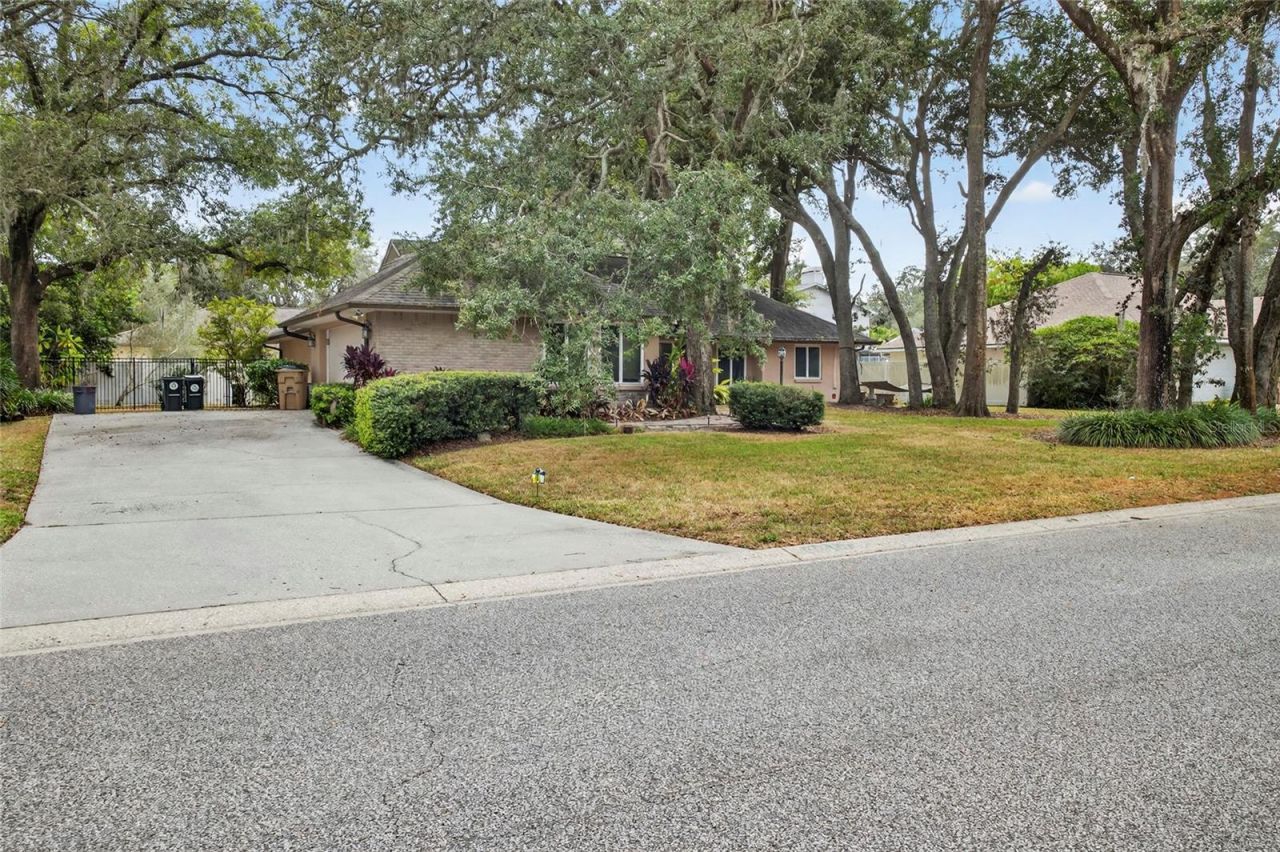 6317 E 113th Avenue, Temple Terrace, FL 33617 Photo