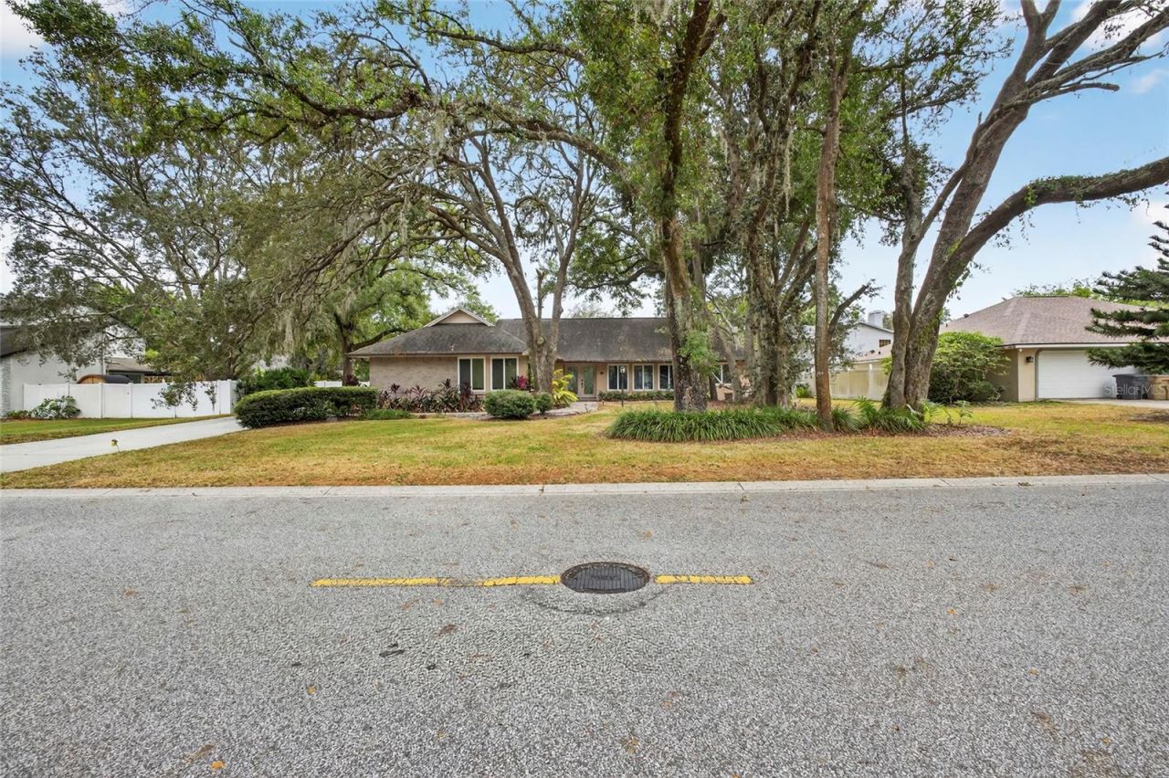 6317 E 113th Avenue, Temple Terrace, FL 33617 Photo